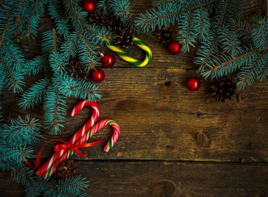 Noel sınır köknar ağacı dalları, koniler, Noel decora