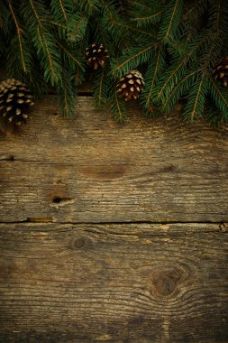 Ahşap doku Noel ağacı dalları