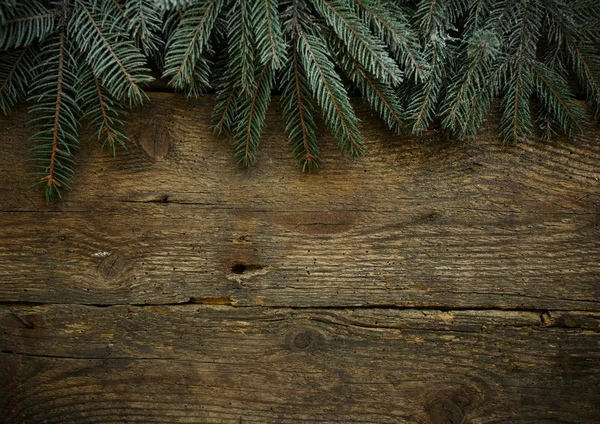 Rami di albero di Natale su texture di legno — Foto Stock