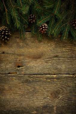 Ahşap doku Noel ağacı dalları