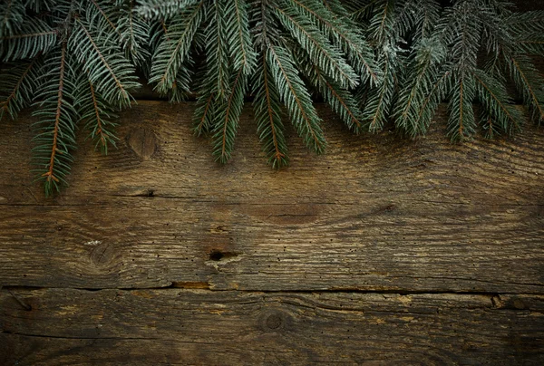 Rami di albero di Natale su texture di legno — Foto Stock