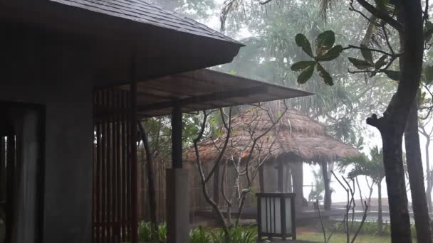 Bungalow dans un parc tropical par temps pluvieux — Video