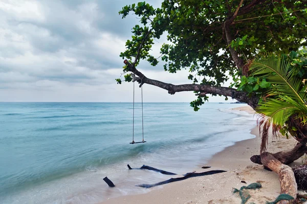 Houpačky a strom na tropické pláži pískem. — Stock fotografie
