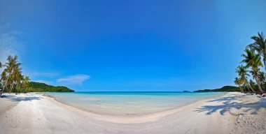 Egzotik tropikal plaj.