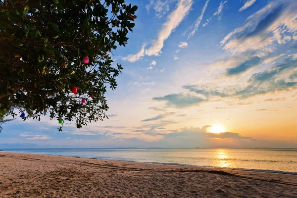 Tropisk strand vid solnedgången. — Stockfoto