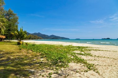 Egzotik tropikal plaj.