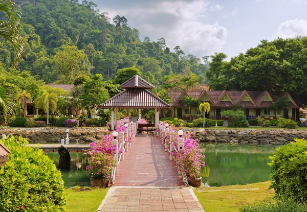 Ponte in fiori rosa — Foto Stock