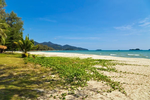 Spiaggia tropicale esotica. — Foto Stock