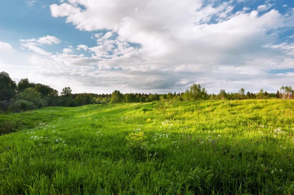 Letní říční krajina — Stock fotografie