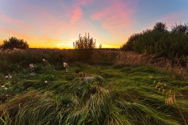 Zonsondergang in de zomer veld — Stockfoto