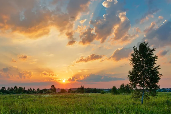 Zachód słońca w lato pole — Zdjęcie stockowe