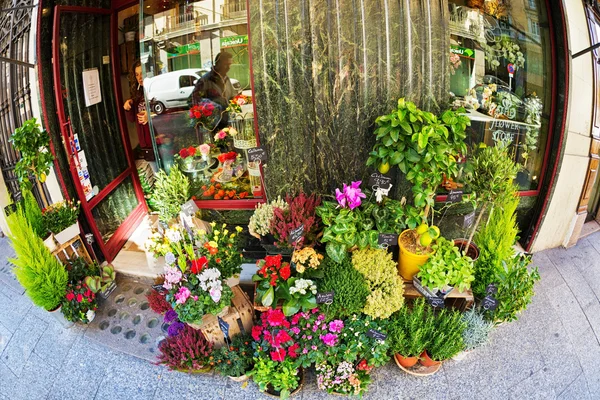 Virág bolt a halszem lencse — Stock Fotó