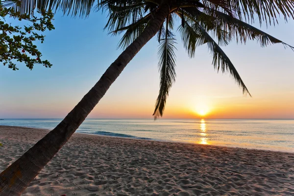 Praia tropical ao pôr do sol. — Fotografia de Stock