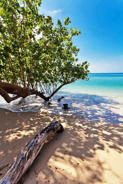 Exotiska tropiska havet — Stockfoto