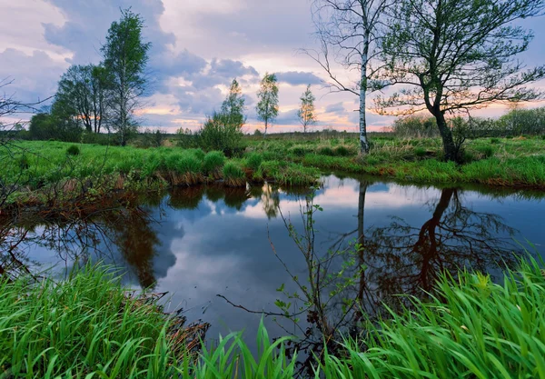 Pequeno riacho no campo da tarde — Fotografia de Stock