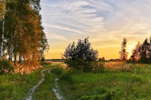 Yaz alanına Sunset — Stok fotoğraf