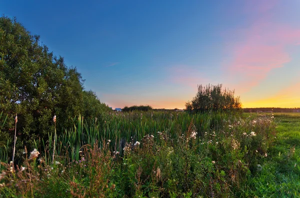 Pôr do sol no campo de verão — Fotografia de Stock