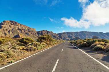 Volkan El Teide giden yol