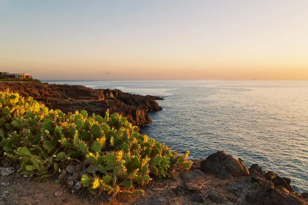 Zee kleurrijke sunset — Stockfoto