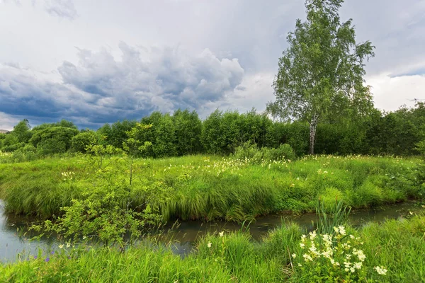 Groen veld met rivier — Stockfoto