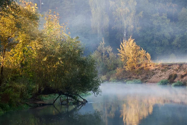 Autumnal foggy lake — Stock Photo, Image