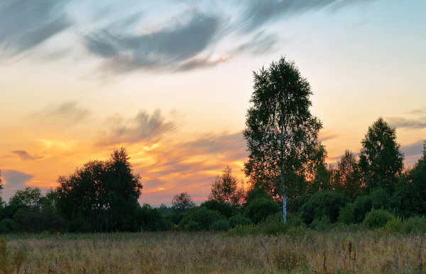 Coucher de soleil dans le champ d'été — Photo