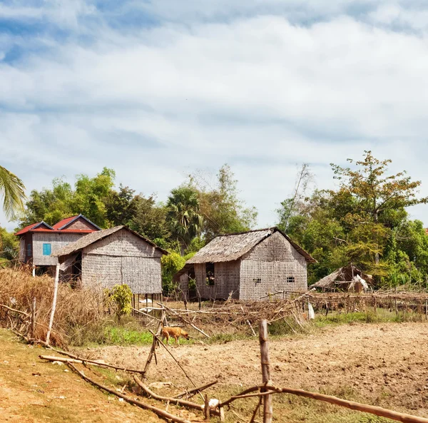 Cambodian village view — Stock Photo, Image