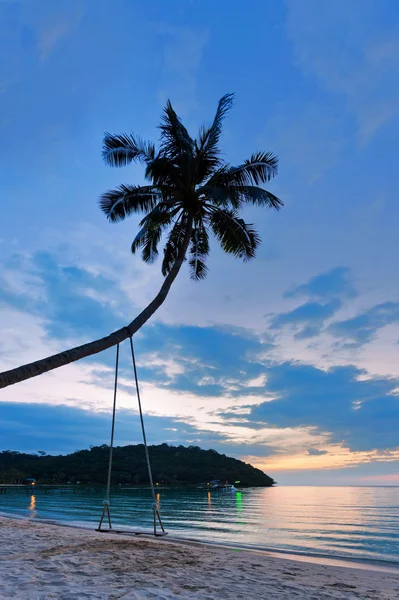 Palm with swing on sunset background — Stock Photo, Image