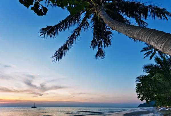 Praia tropical ao pôr do sol. — Fotografia de Stock