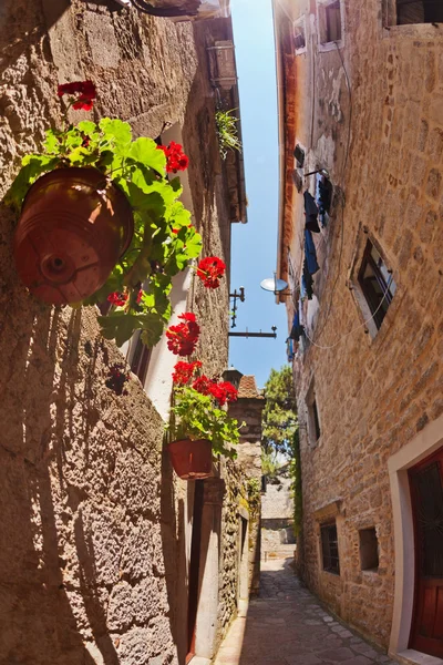 Fish-eye view of the old city on sky background — Stock Photo, Image