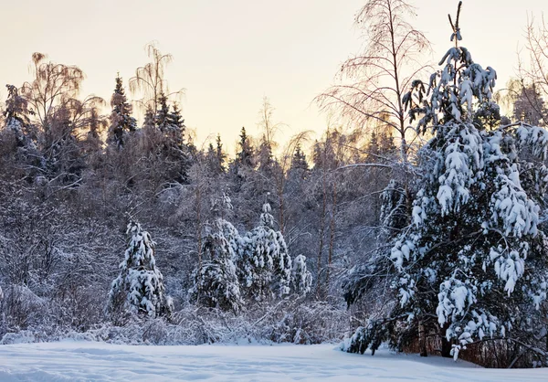 Paysage hivernal coucher de soleil — Photo