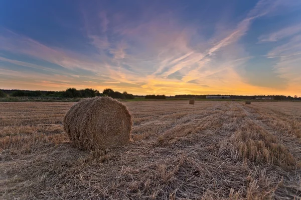 Balle di fieno fresche con bel tramonto — Foto Stock