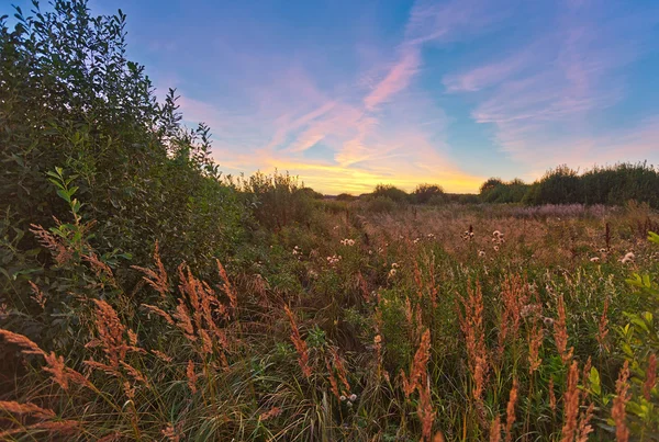 Pôr do sol no campo de verão — Fotografia de Stock