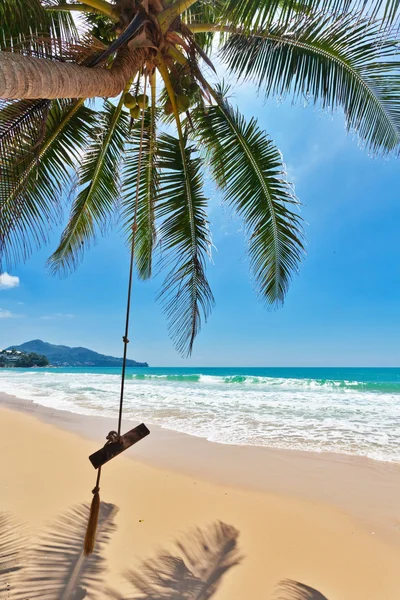 Schommels en palm op strand — Stockfoto