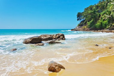 Egzotik tropik deniz