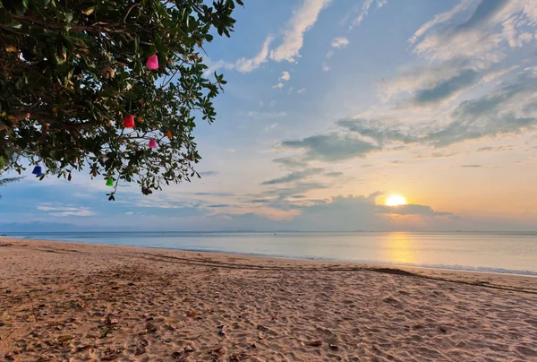 Tropical beach at sunset. — Stock Photo, Image