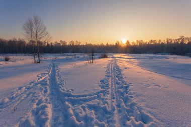 Ormanın yakınında kış gün batımı