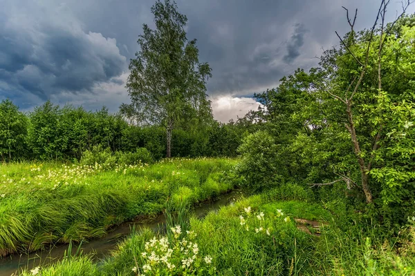 Letnie Pole Rzeką Pod Chmurami — Zdjęcie stockowe