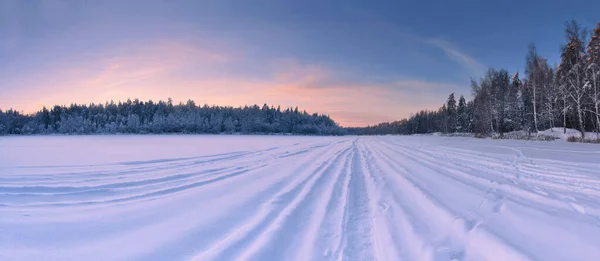 Pôr Sol Inverno Perto Floresta — Fotografia de Stock