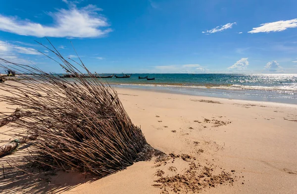 Tronco Albero Morto Sulla Spiaggia Tropicale Spiaggia Nai Yang Phuket — Foto Stock