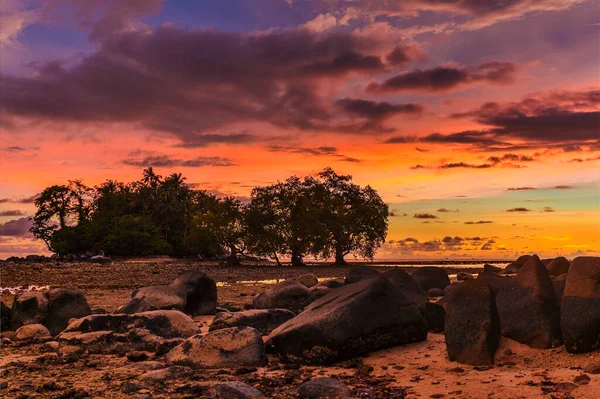 Krásná Krajina Západu Slunce Siluetami Stromů Přílivové Pláži Pláž Nai — Stock fotografie