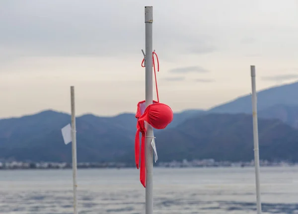 Vacker Rosa Röd Kvinnors Baddräkt Hängande Torktumlaren — Stockfoto