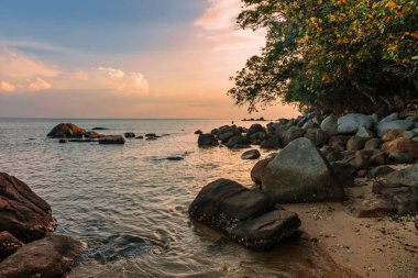 Güzel gün batımı tropikal kumsalda. Doğa arka plan. Nai Yang beach. Phuket. Tayland