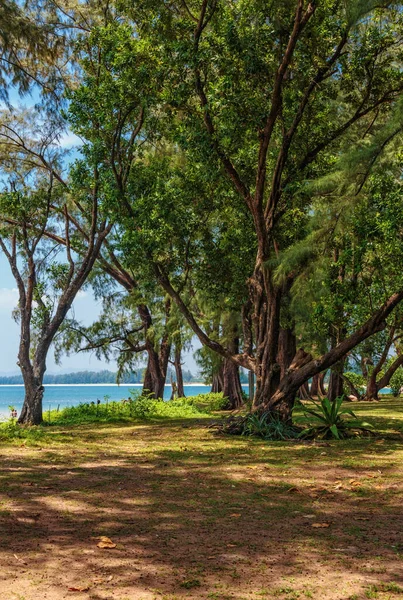 Beautiful Tropical Beach Sea View Clean Water Blue Sky Nai — Fotografia de Stock