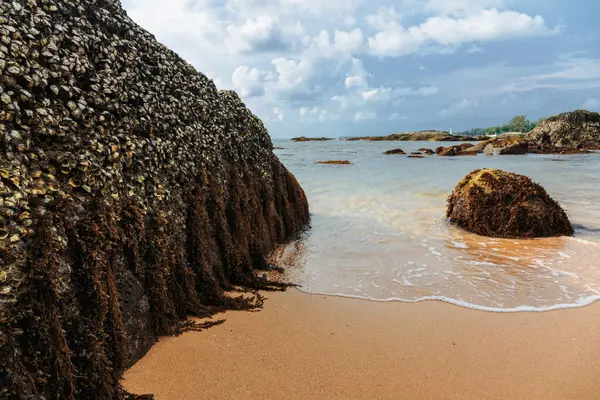 Tropischer Strand Sonnigen Tagen Provinz Khao Lak Thailand — Stockfoto