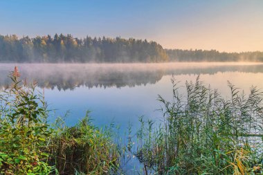 Güzel sonbahar sisli göl üzerine sonbahar manzarası 