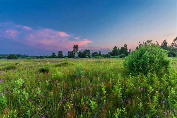 Landskap Med Coloful Solnedgång Sommarfält — Stockfoto