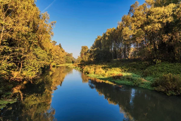 Lugn Flod Skogen Solig Dag — Stockfoto