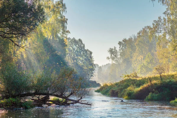 Morgonflod Dimma — Stockfoto