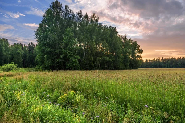 Landschap Met Kleurrijke Zonsondergang Het Zomerveld — Stockfoto